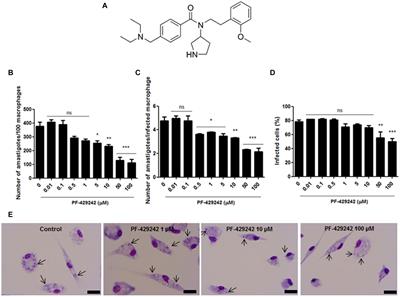 PF-429242, a Subtilisin Inhibitor, Is Effective in vitro Against Leishmania infantum